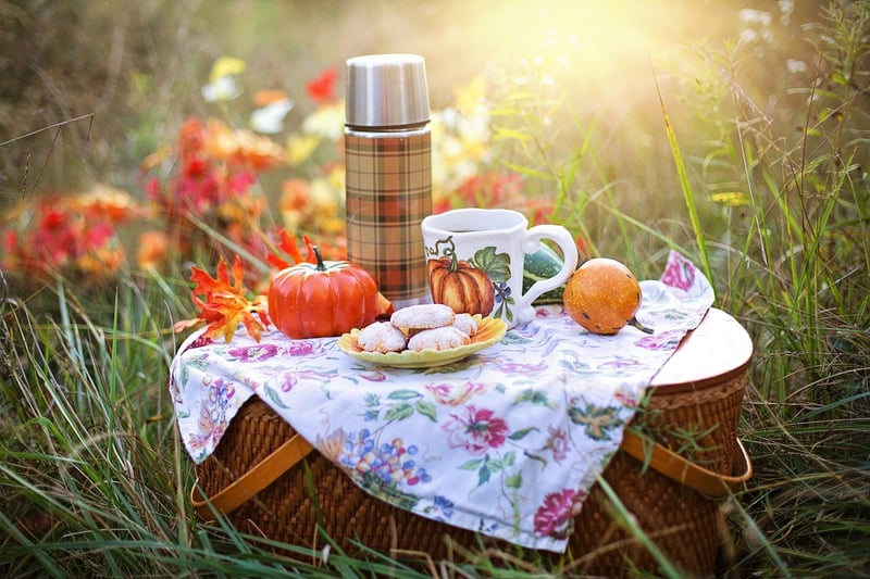 Fairy Picnics